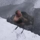 vinterbadning_thumb